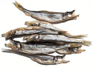 Семечки: Корюшка (мелкая) вяленая (Камчатка)